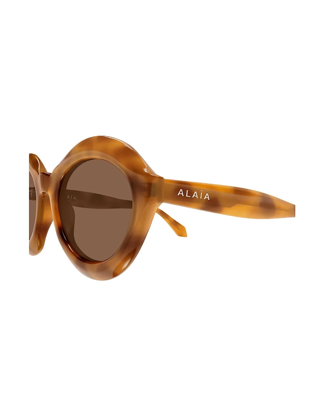 Oval Frame Sunglasses