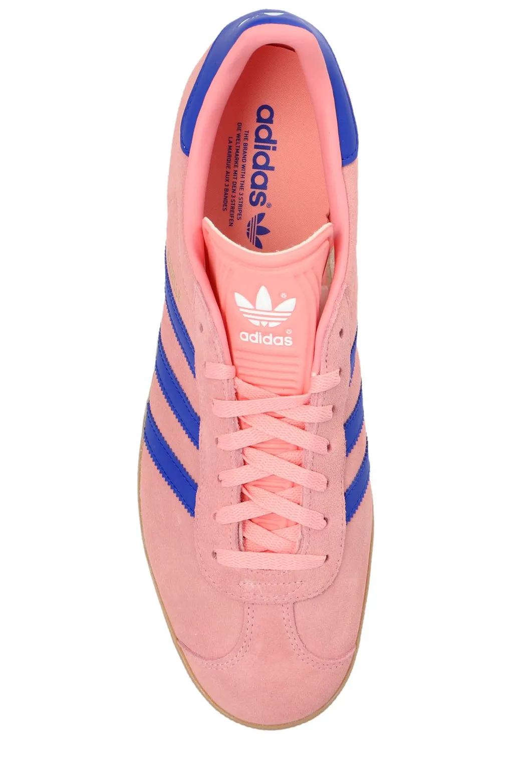 Gazelle