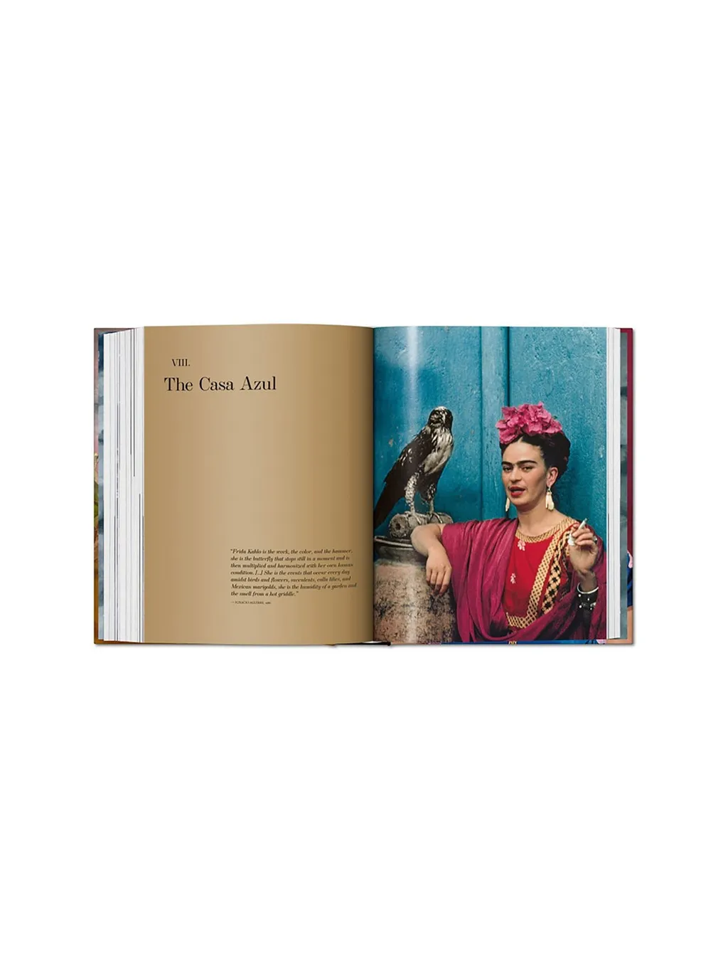 Frida Kahlo. The Complete Paintings Book