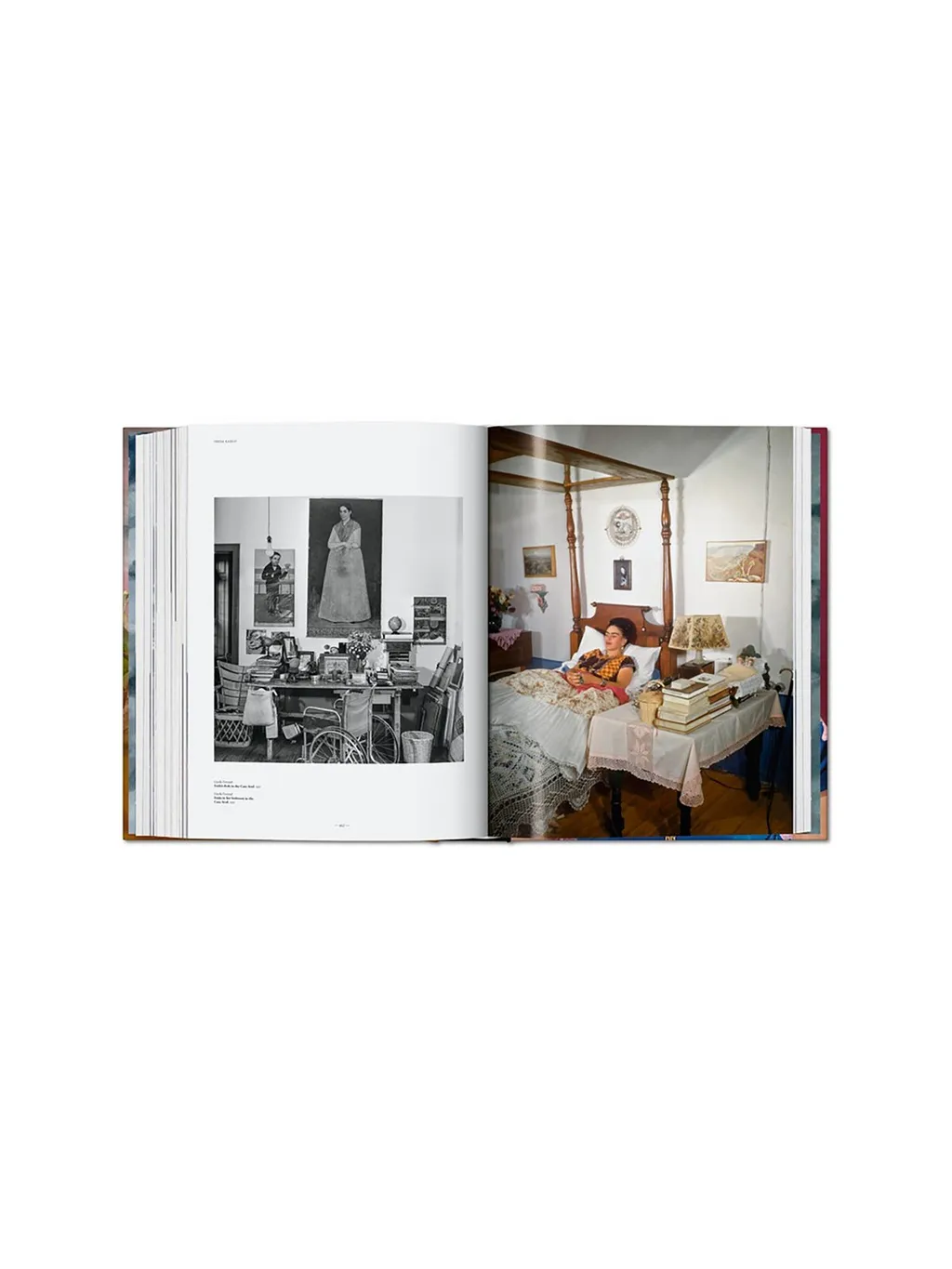 Frida Kahlo. The Complete Paintings Book