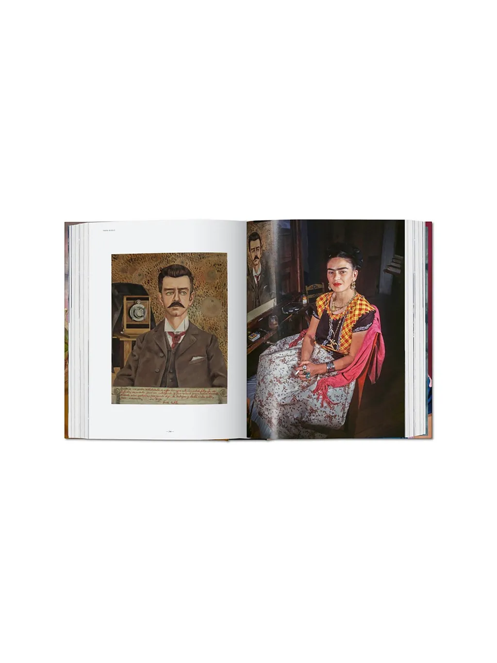 Frida Kahlo. The Complete Paintings Book