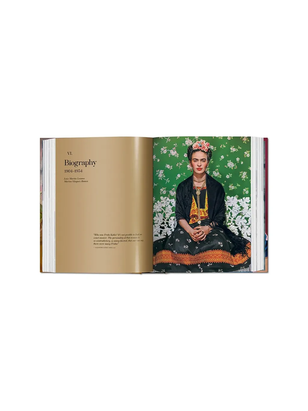 Frida Kahlo. The Complete Paintings Book