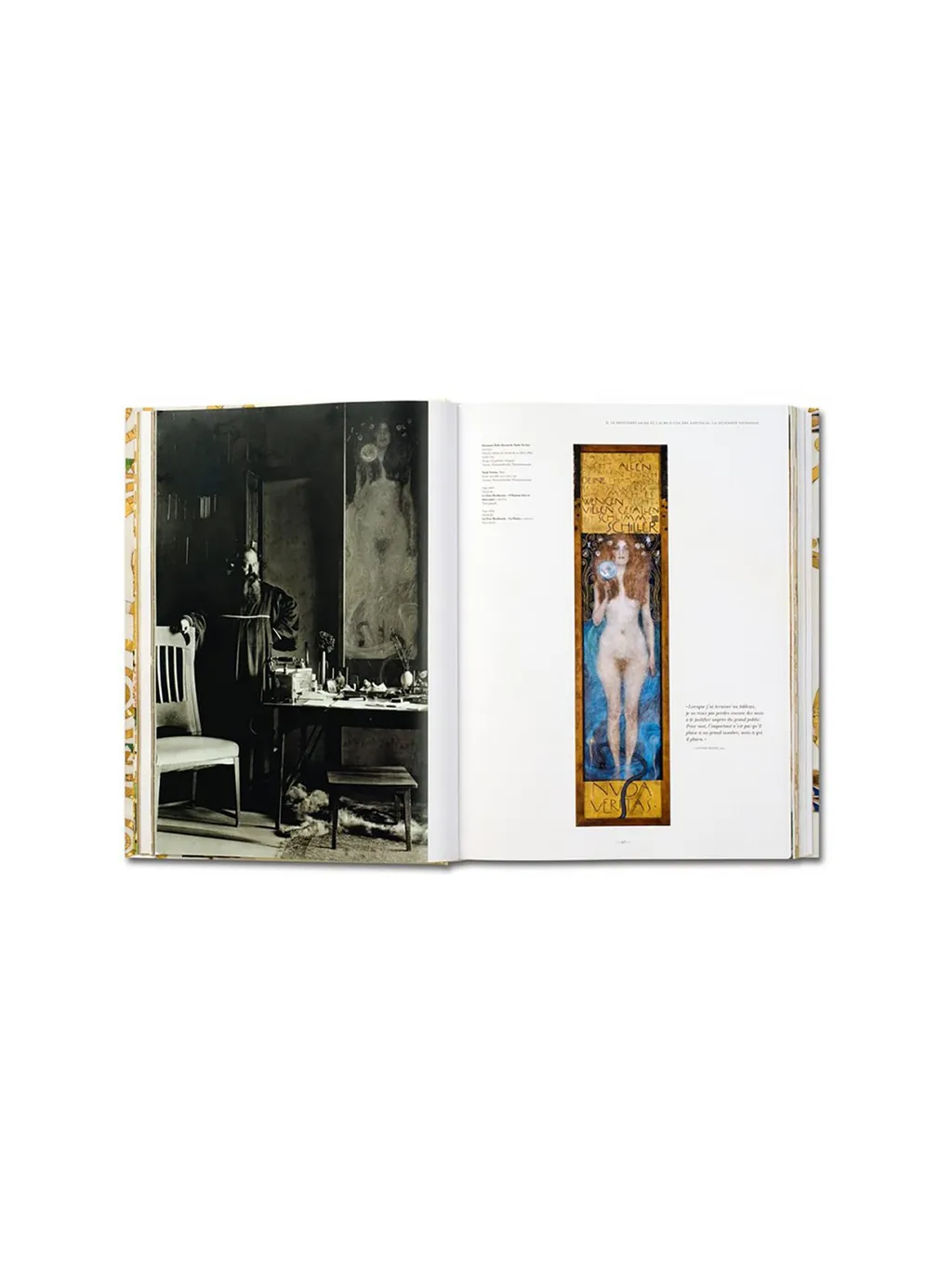 Gustav Klimt. The Complete Paintings Book