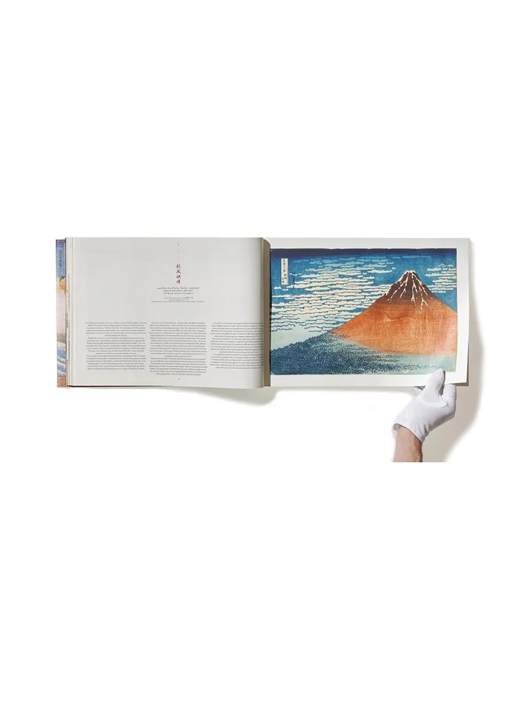 Mount Fuji Book