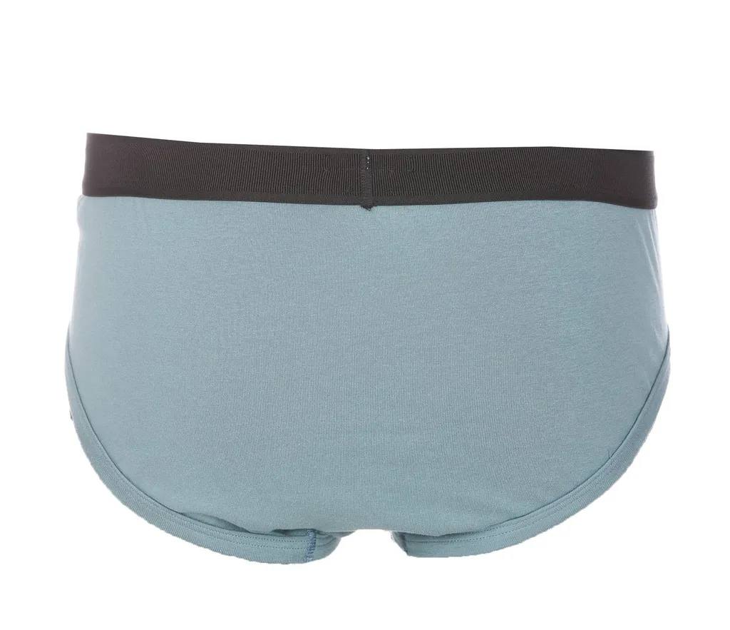 Logo Waistband Stretched Briefs