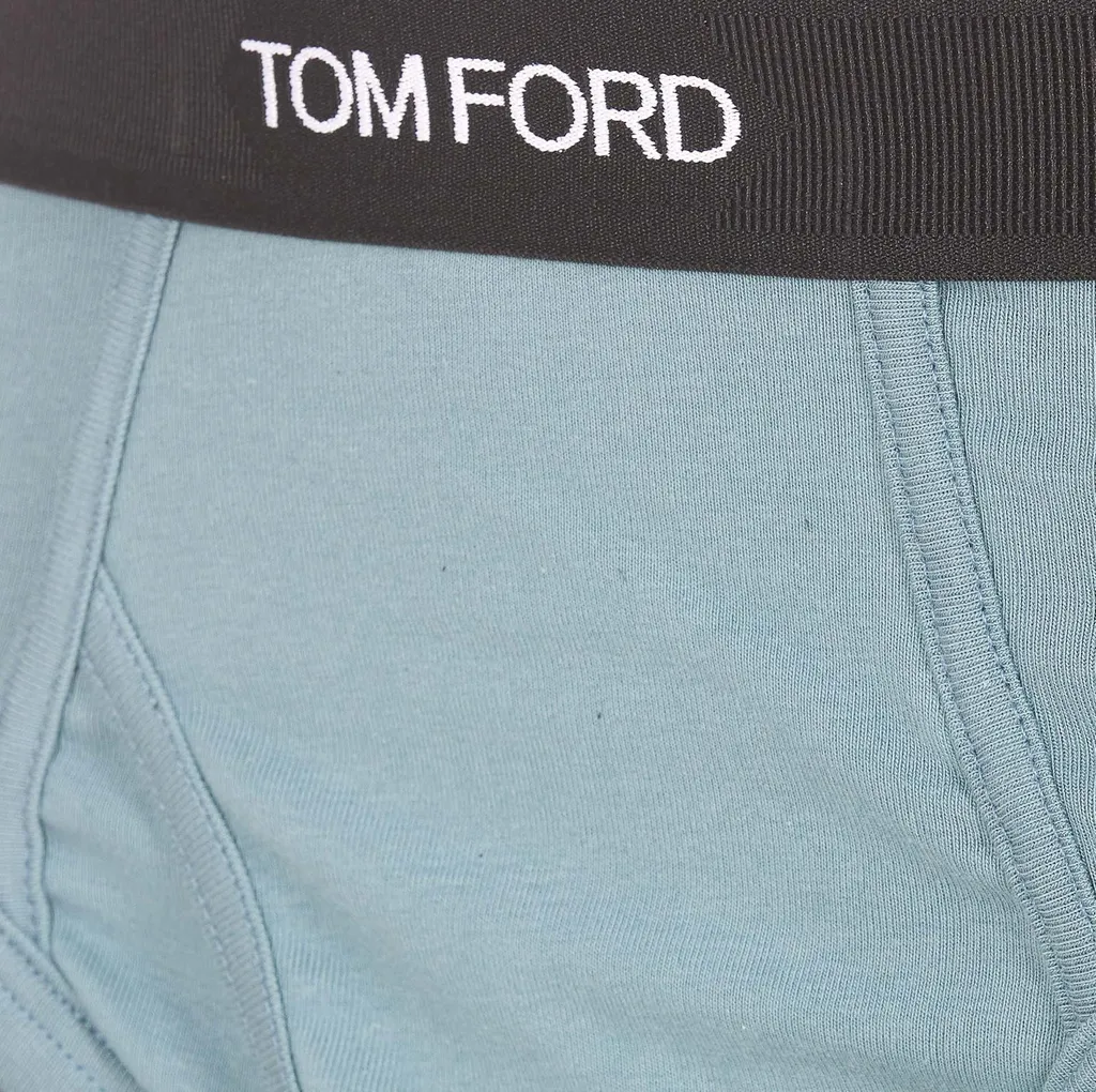 Logo Waistband Stretched Briefs