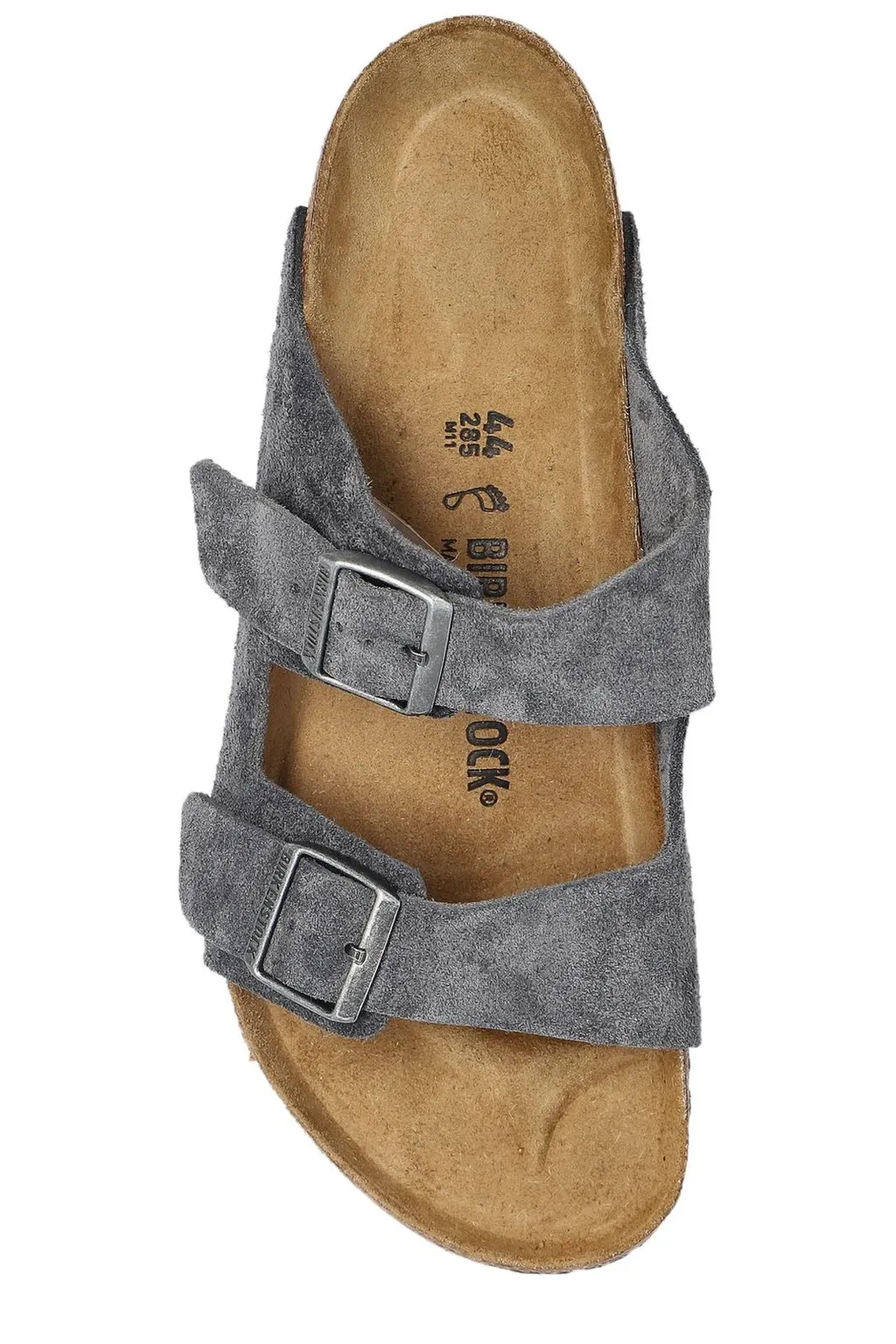 Arizona Bs Slides