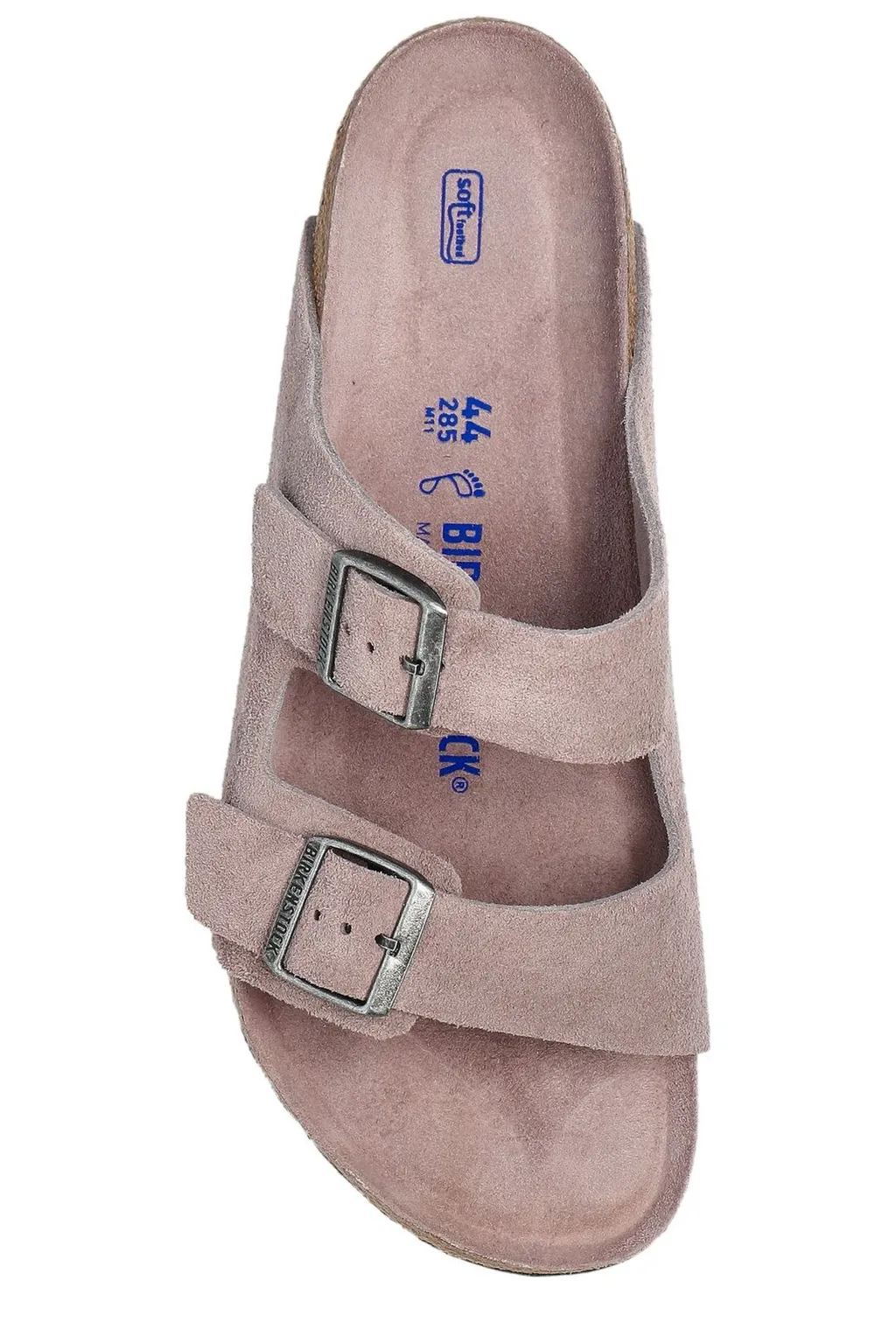 Arizona Bs Slides