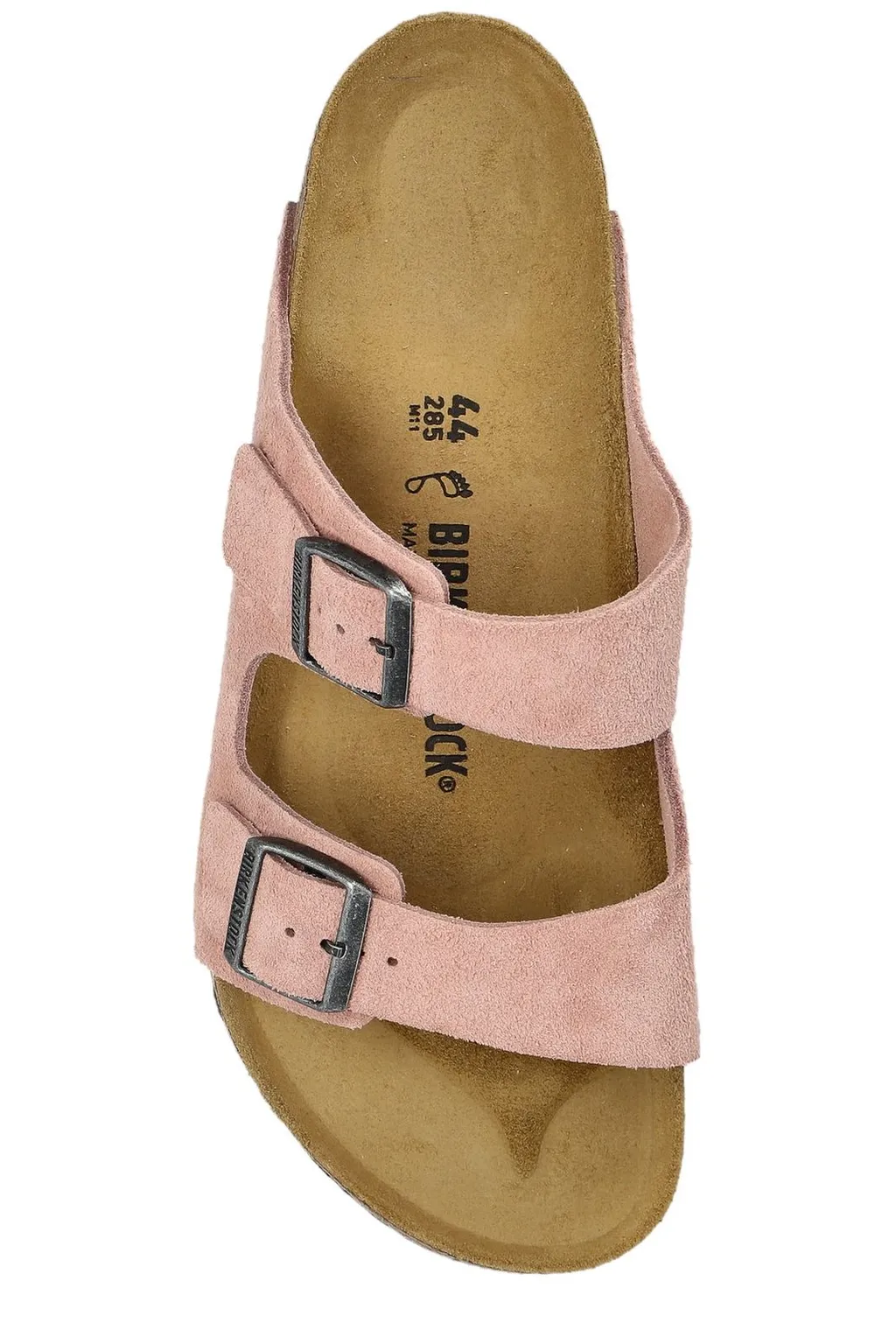 Arizona Bs Slides