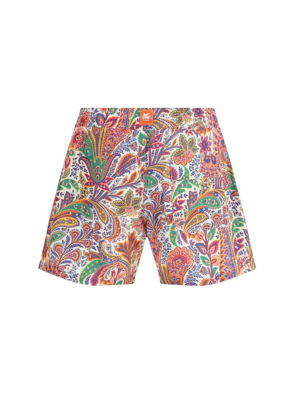 Paisley Printed Swim Shorts