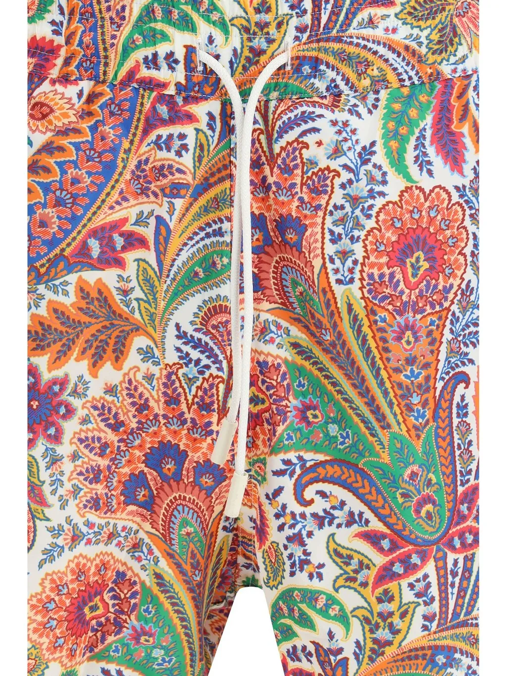 Paisley Printed Swim Shorts