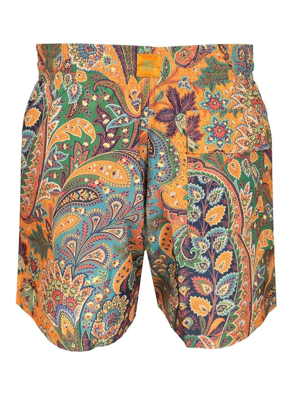 Paisley Printed Drawstring Swim Shorts