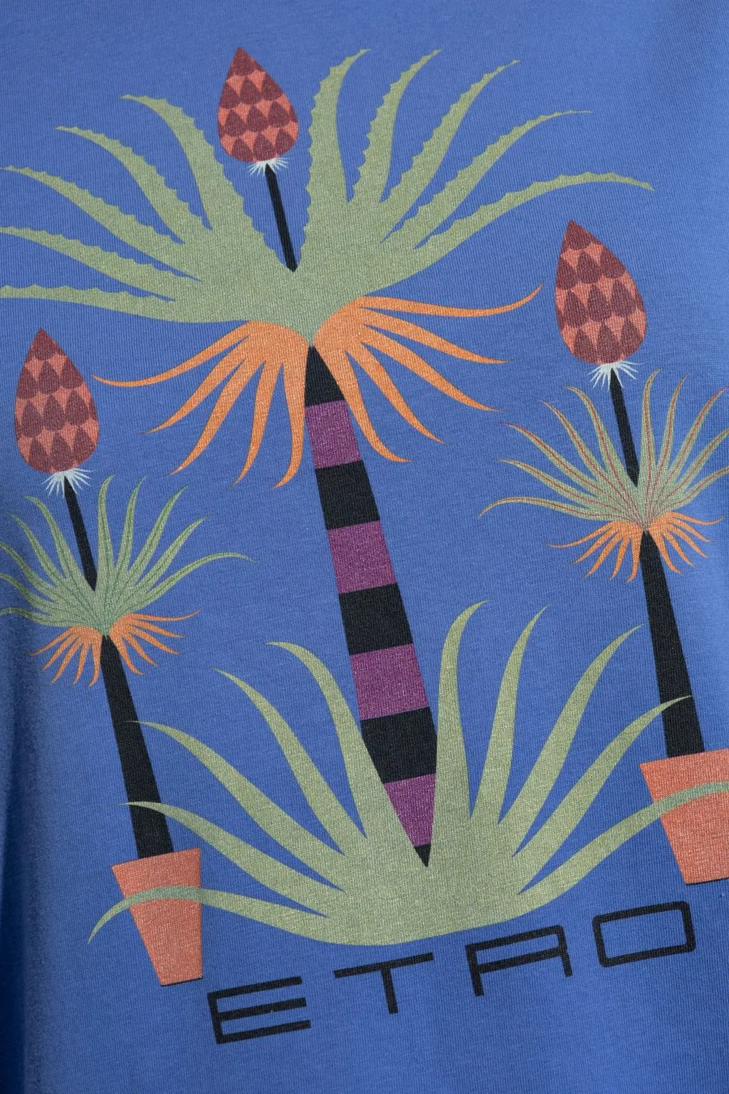 Graphic Printed Crewneck T-Shirt