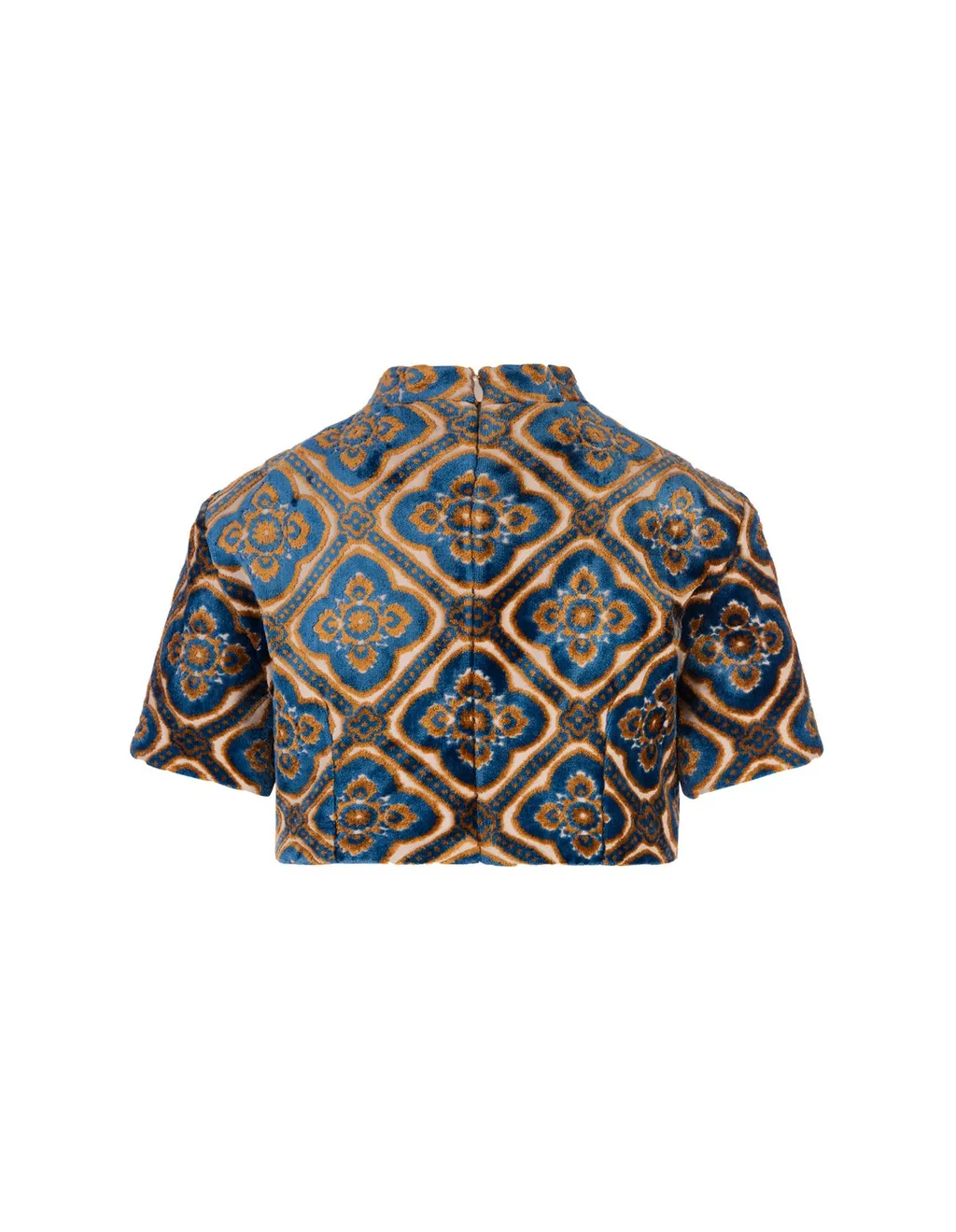 Paisley Print Cropped Top