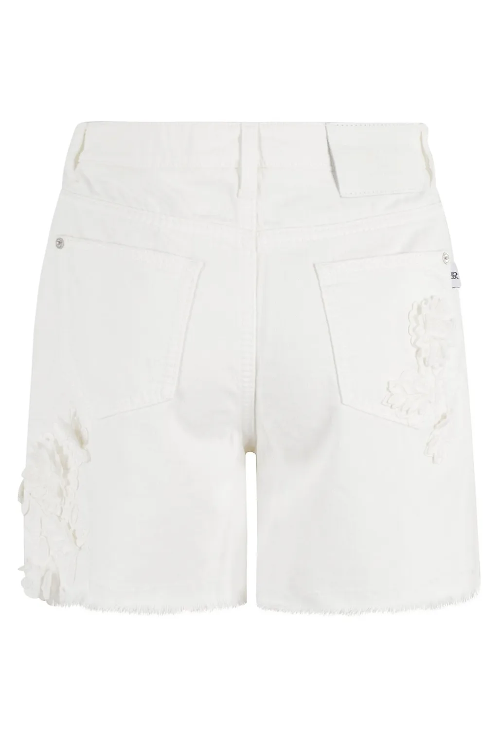Floral Lace Distressed Shorts