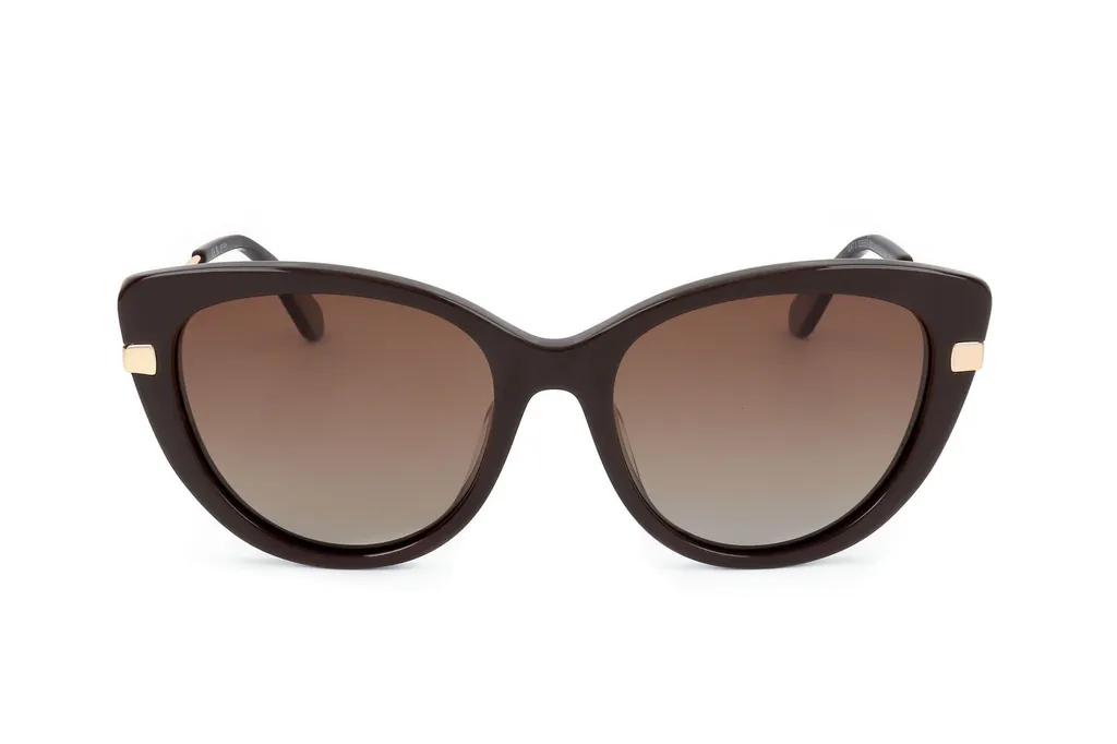 Cat Eye Frame Full Rim Sunglasses