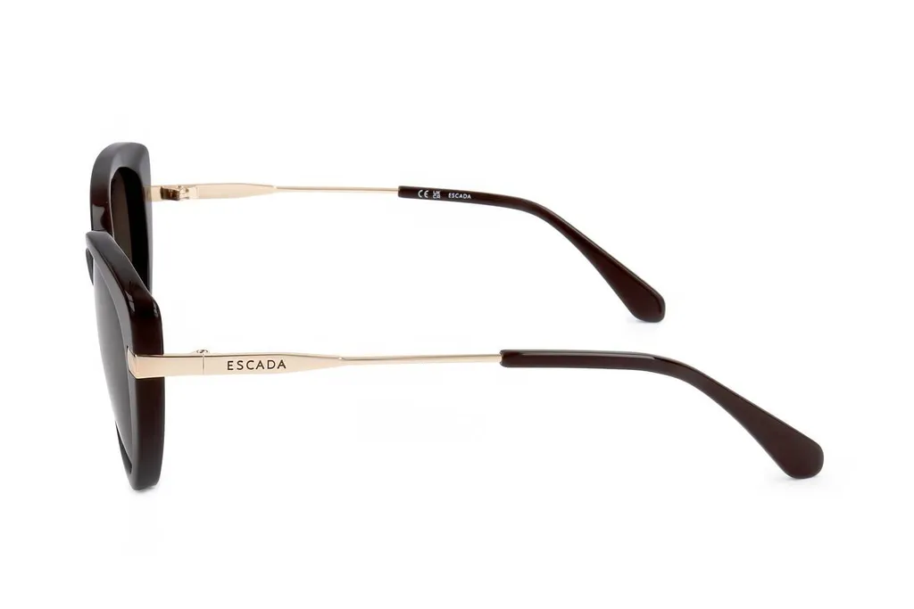 Cat Eye Frame Full Rim Sunglasses