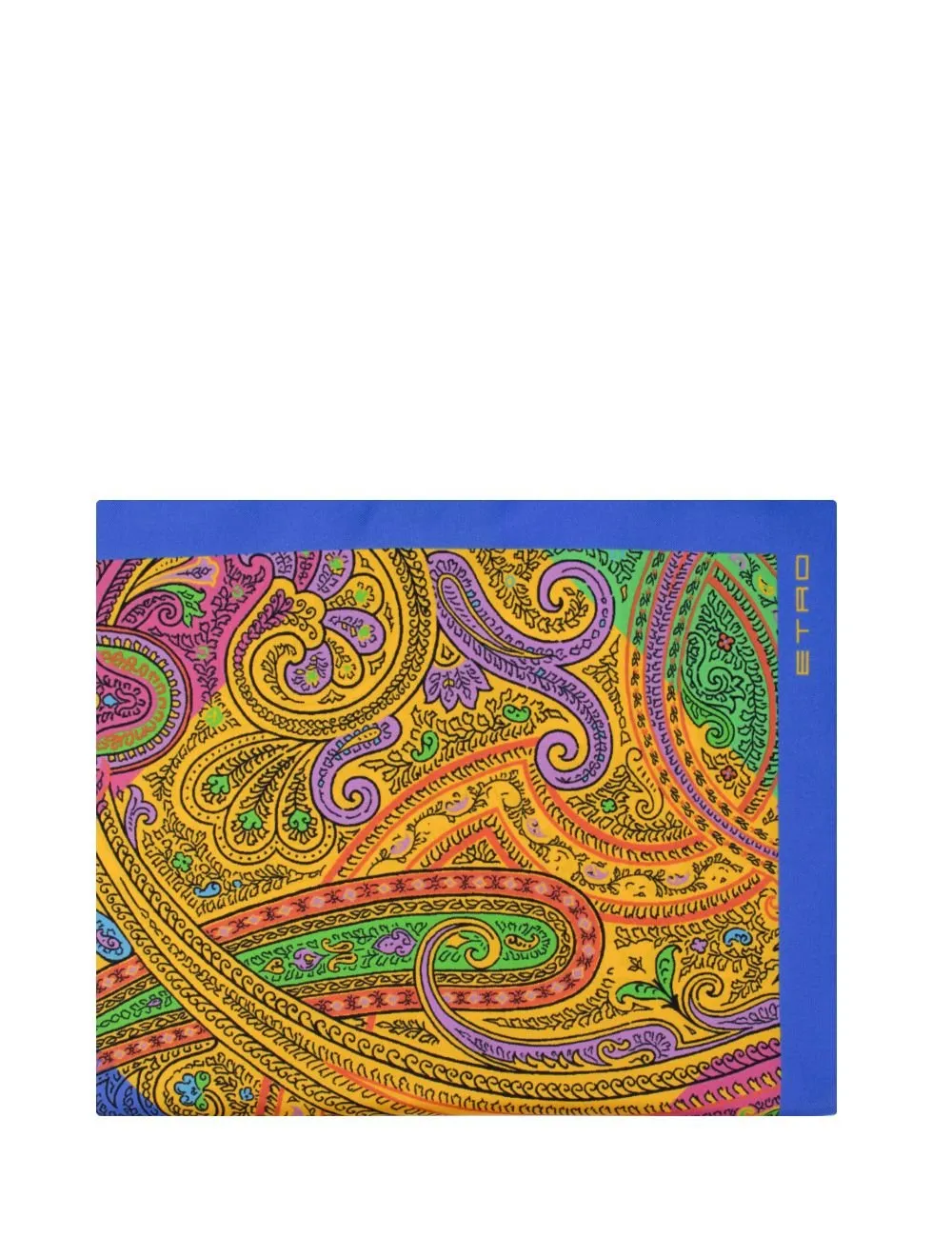 Geometric Paisley Motif Scarf