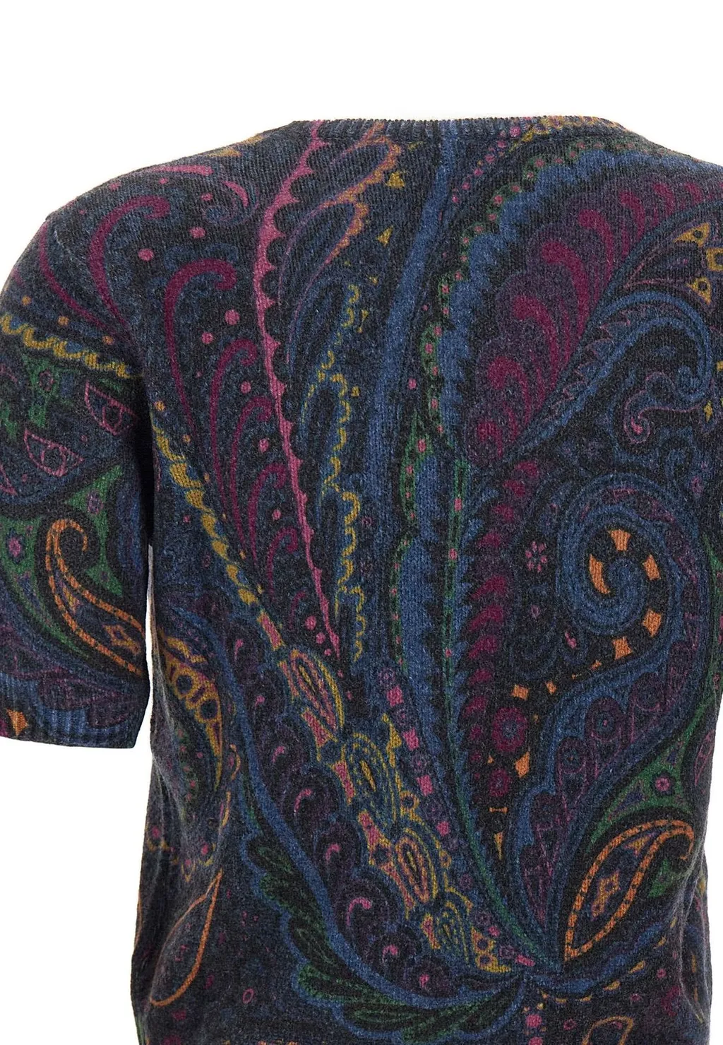 Paisley Printed Crewneck Knitted Top
