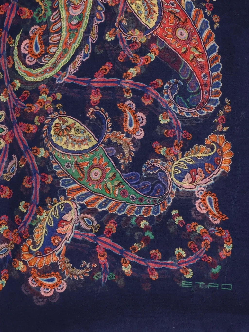 Paisley Printed Scarf