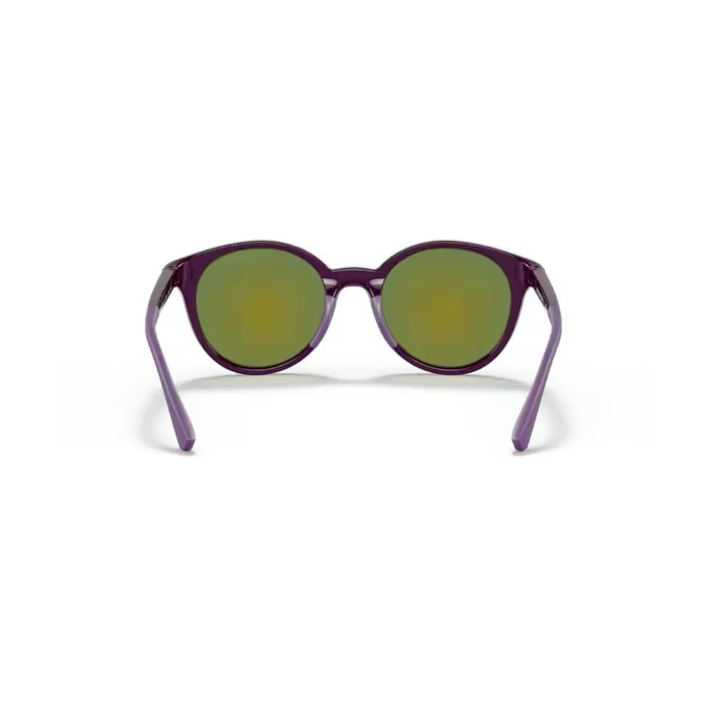 Round Frame Sunglasses