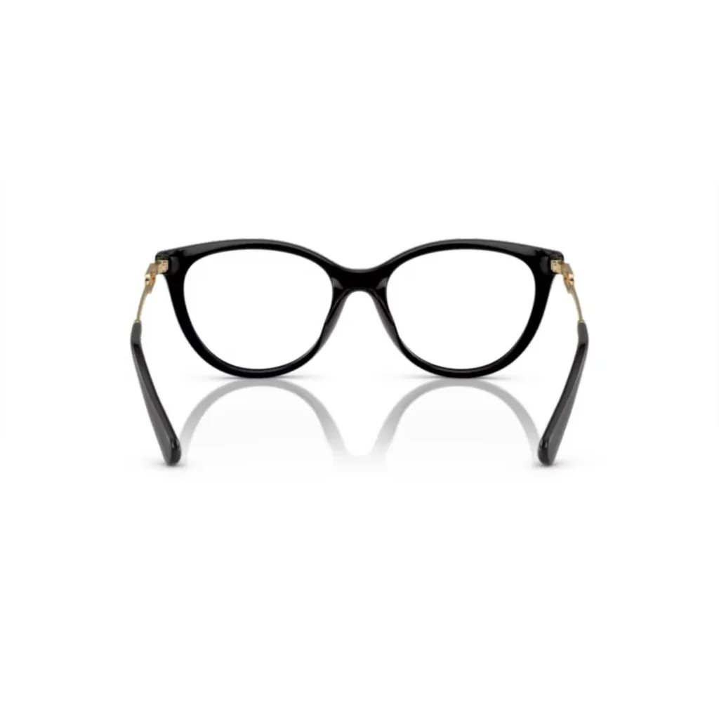 Cat-Eye Frame Clip-On Glasses