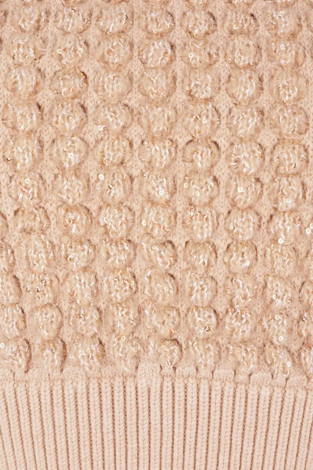Sequin Embellished Knitted Top