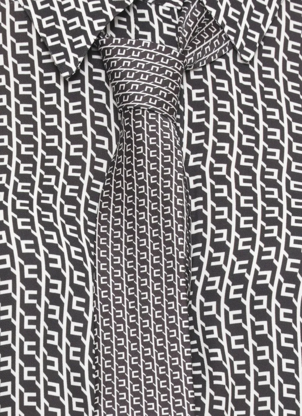 Printed Georgette Shirt