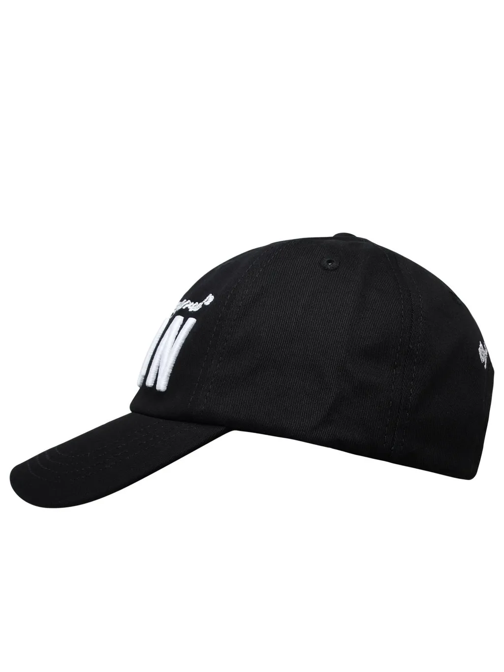 Icon Baseball Cap