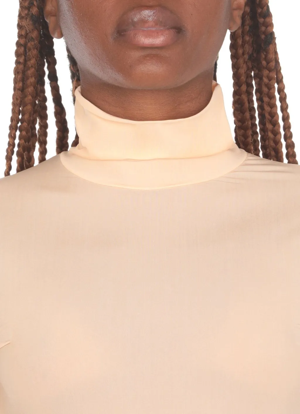 Sheer Turtleneck Long-Sleeved T-Shirt