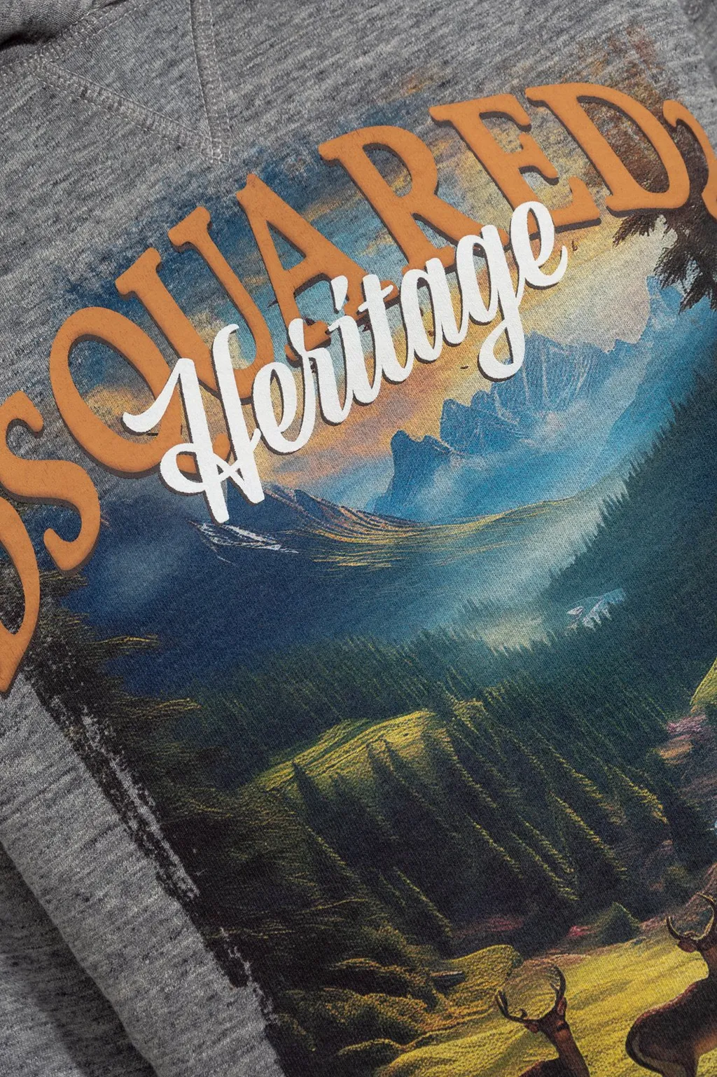 Printed Distressed Hoodie