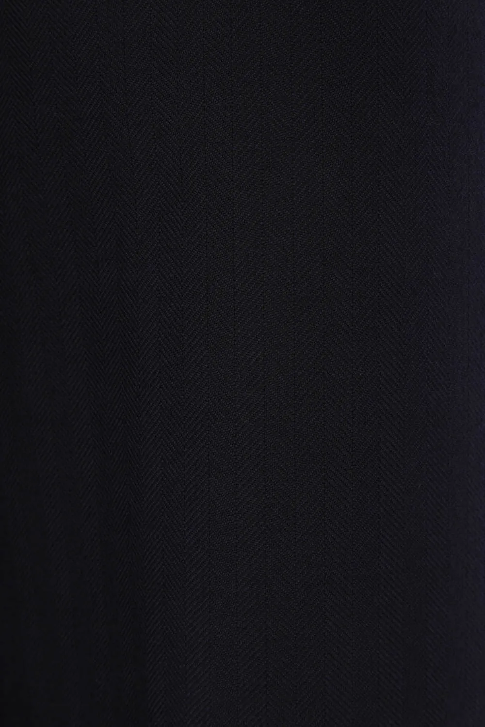 Pleated Pants