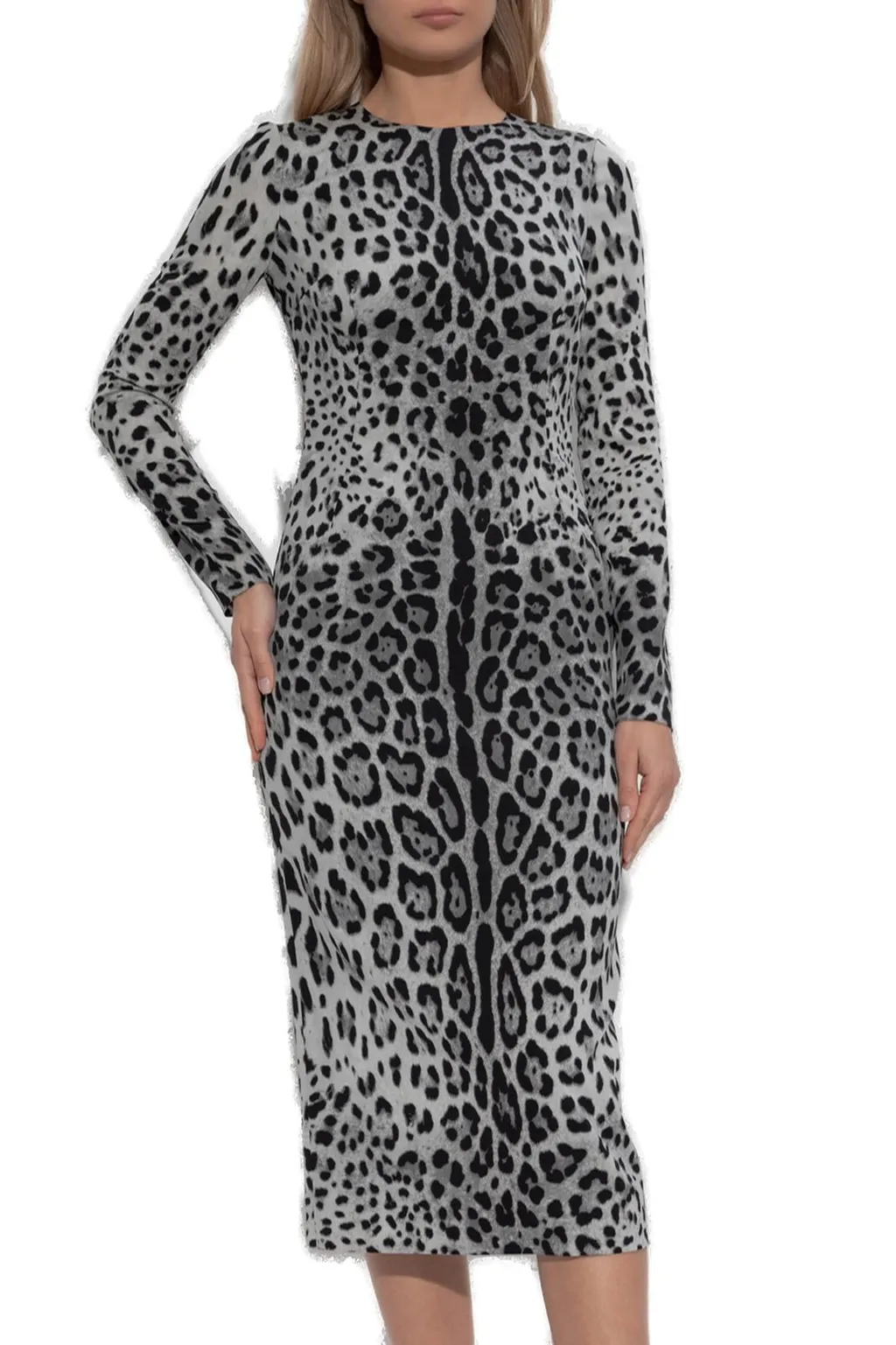 Animal Printed Midi Dress