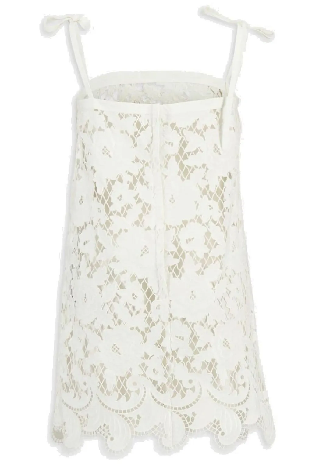 Floral Openwork Embroidered Mini Dress