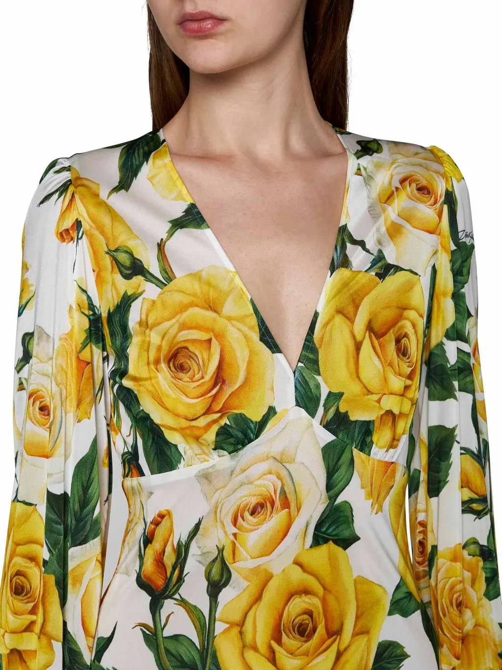 Rose Printed V-Neck Dress