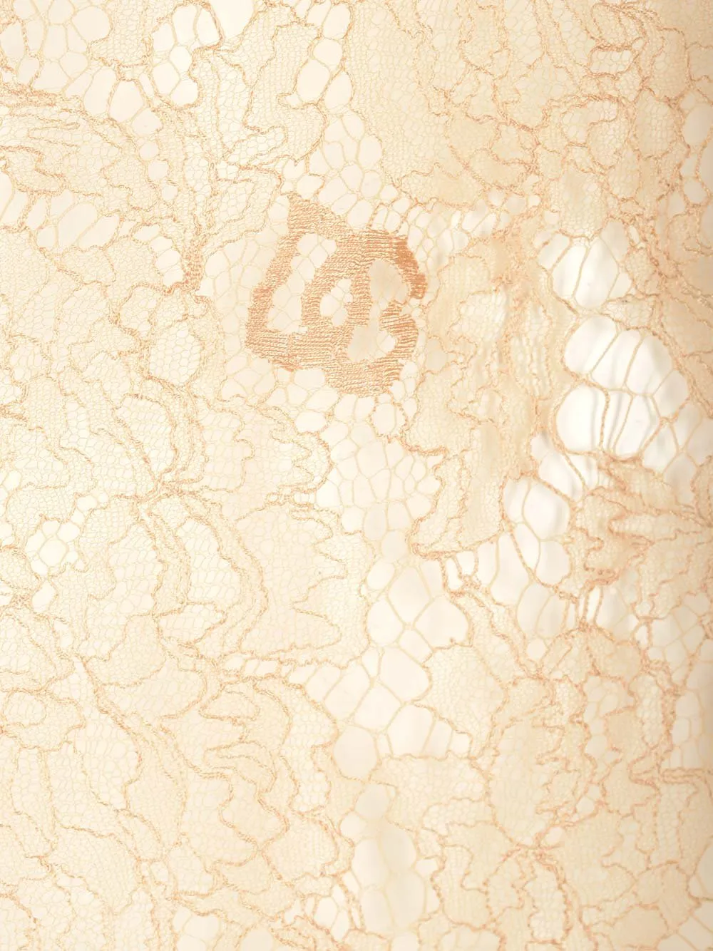 Sheer Lace Straight Hem Blouse