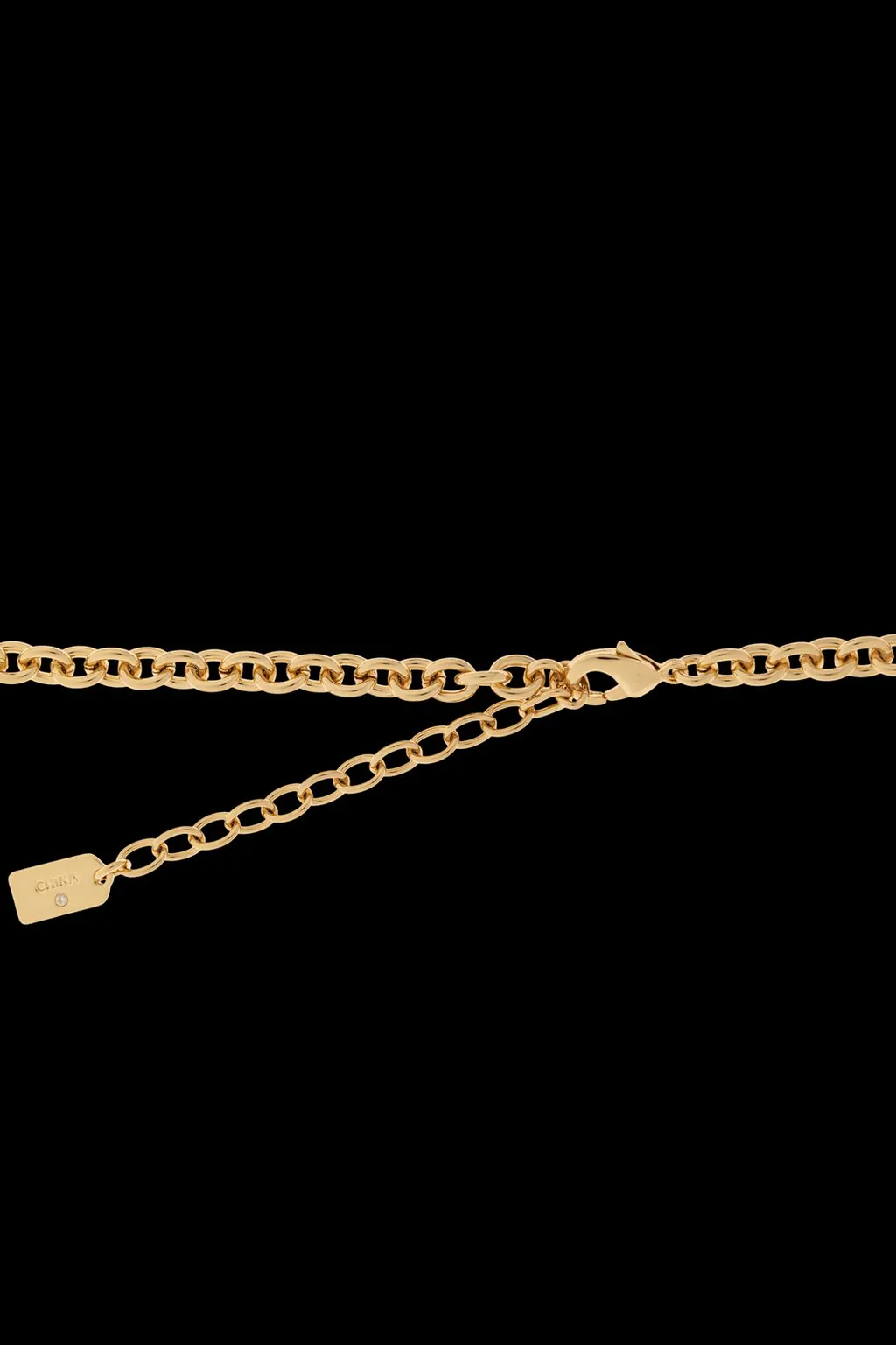 Charm Detailed Chain Necklace