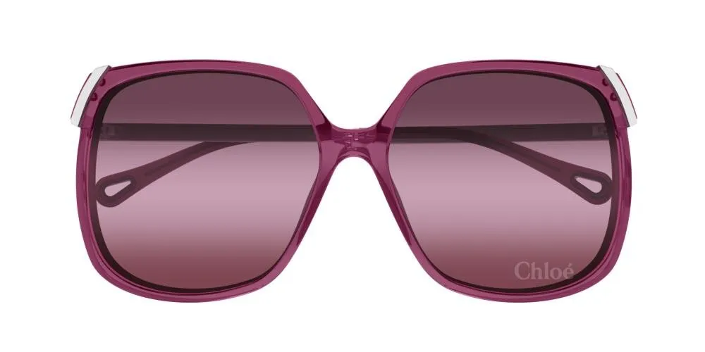 Oversized Frame Sunglasses