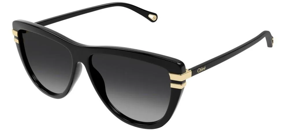 Rectangular Frame Sunglasses