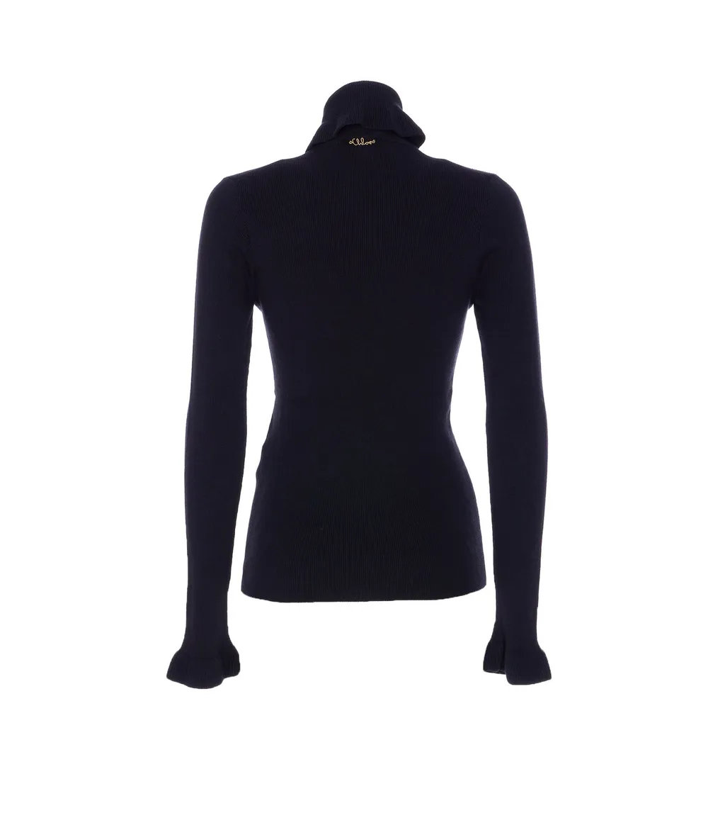 Fitted Turtleneck Sweater