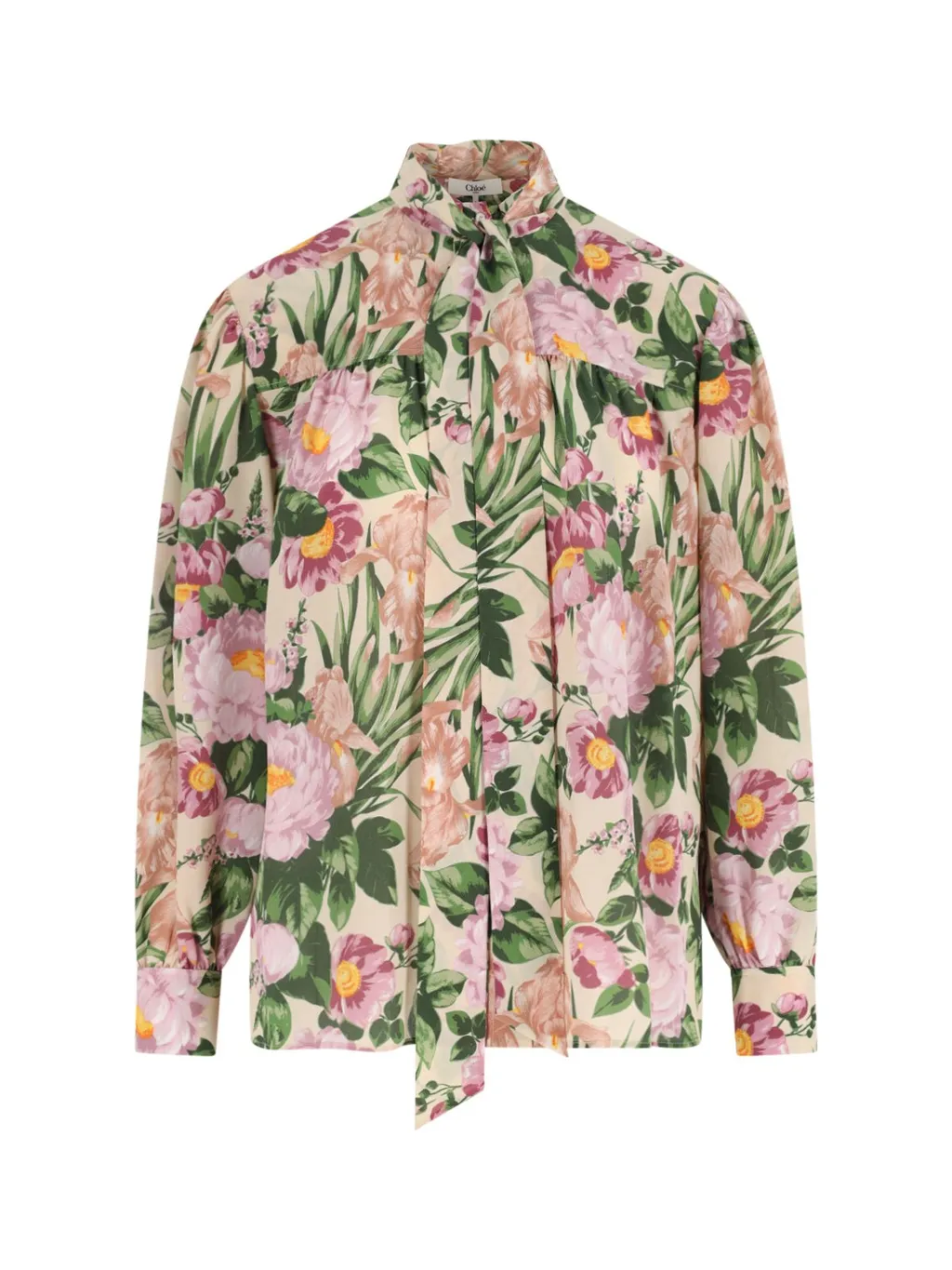 Allover Floral Printed Bow-Neck Blouse