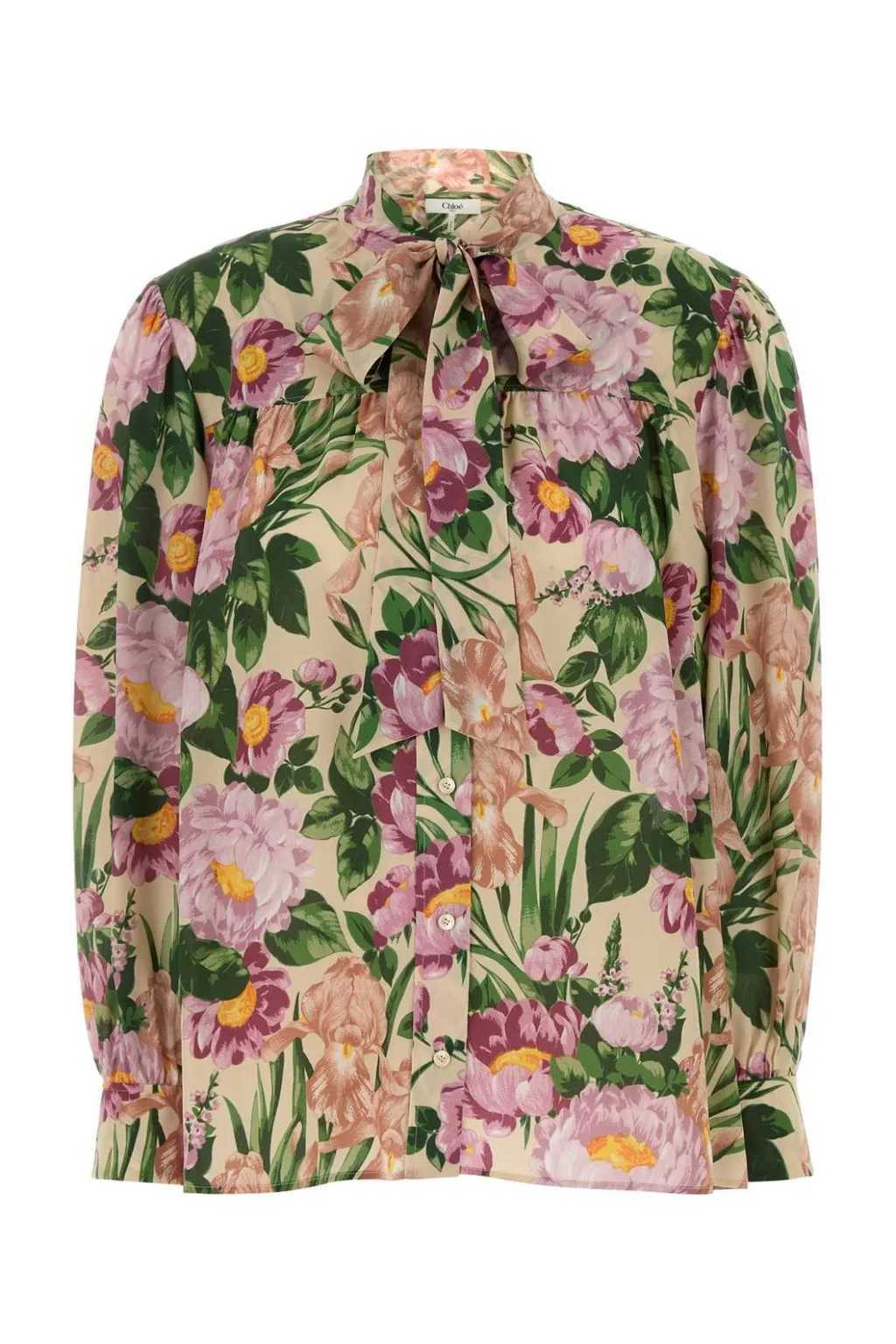 Allover Floral Printed Bow-Neck Blouse