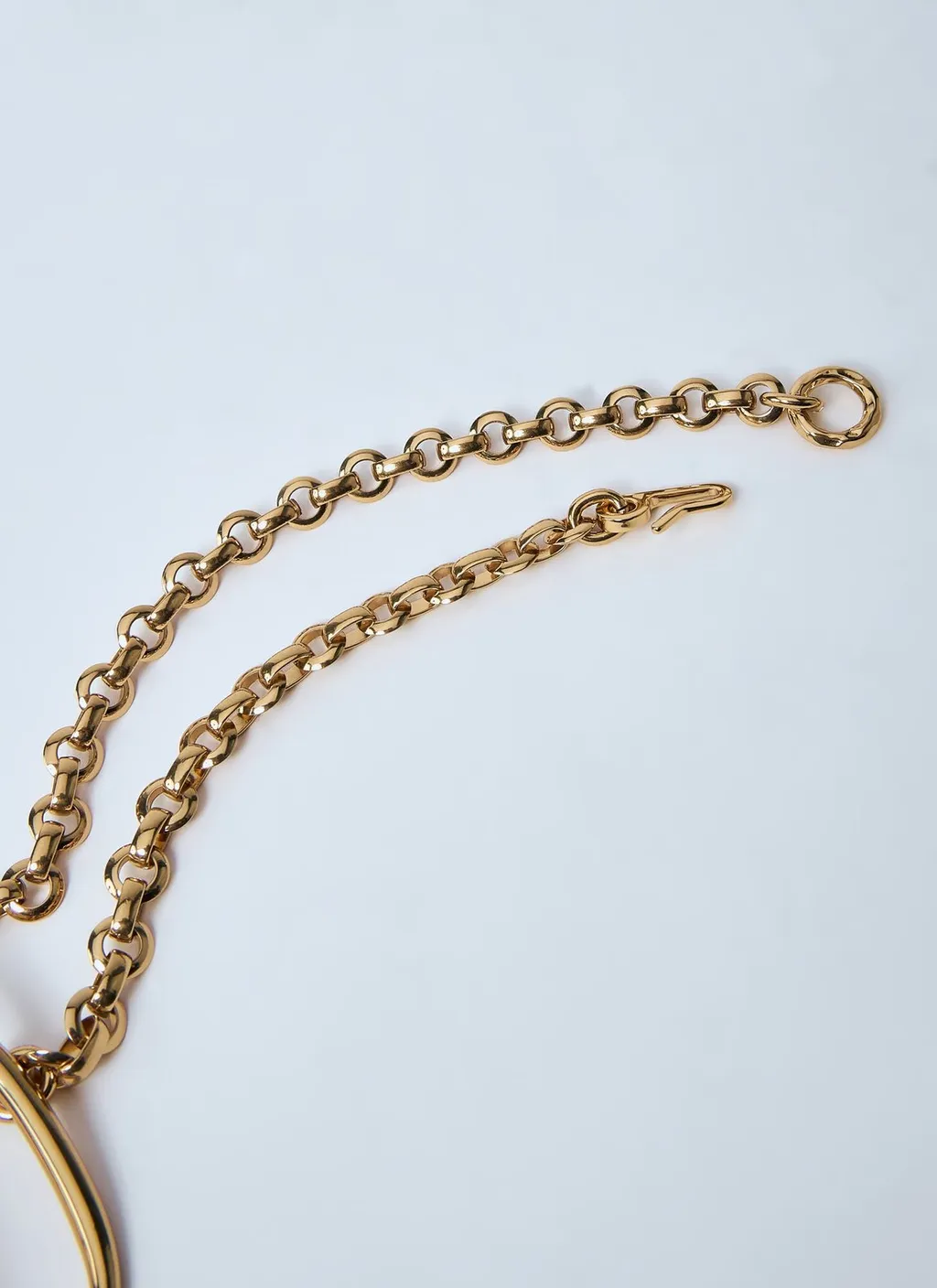 The Chloé Iconic Belt