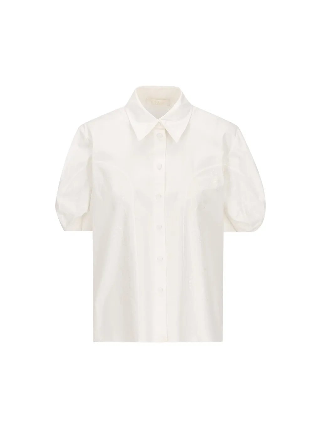 Embroidered Balloon-Sleeved Shirt