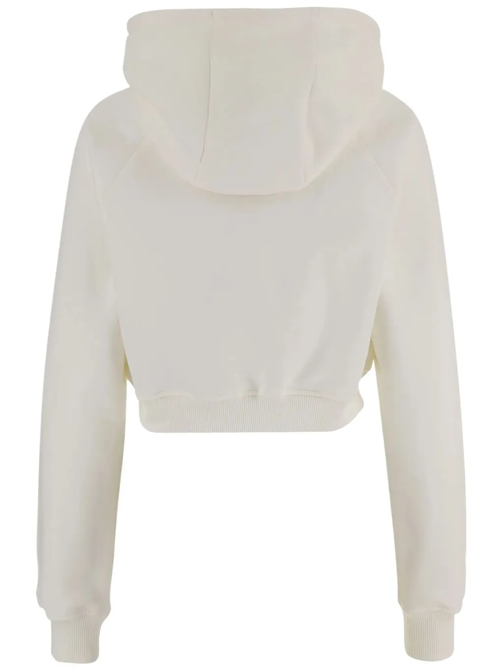 Butterfly Print Cropped Sweater