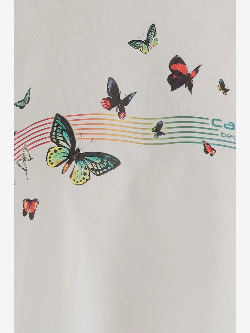 Cropped Logo Print T-Shirt