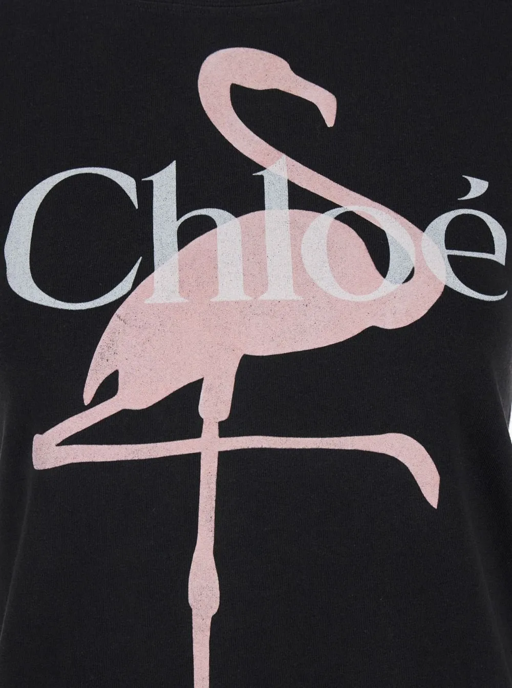 Graphic Printed Crewneck T-Shirt