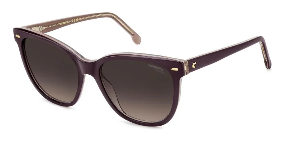 Oval Frame Full Rim Sunglasses