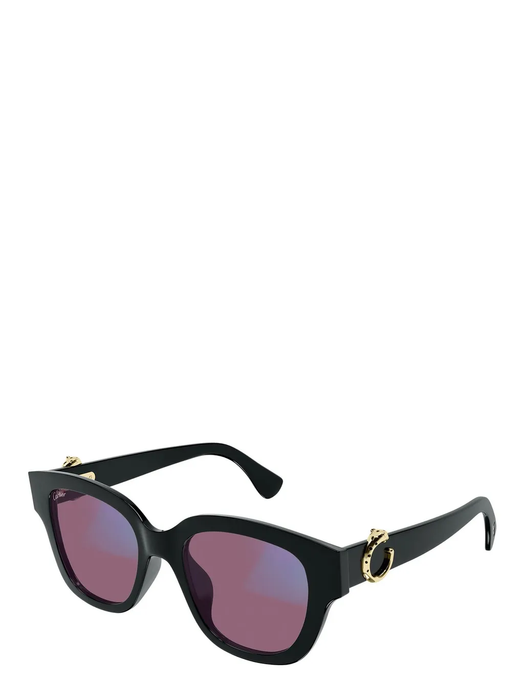 Square Frame Sunglasses