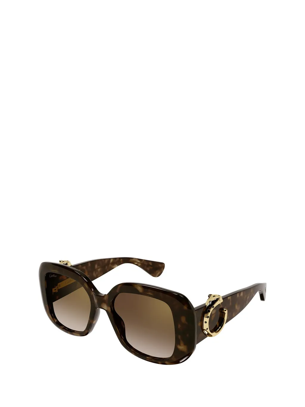 Square Frame Sunglasses
